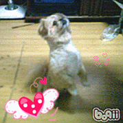 豆包脱衣秀